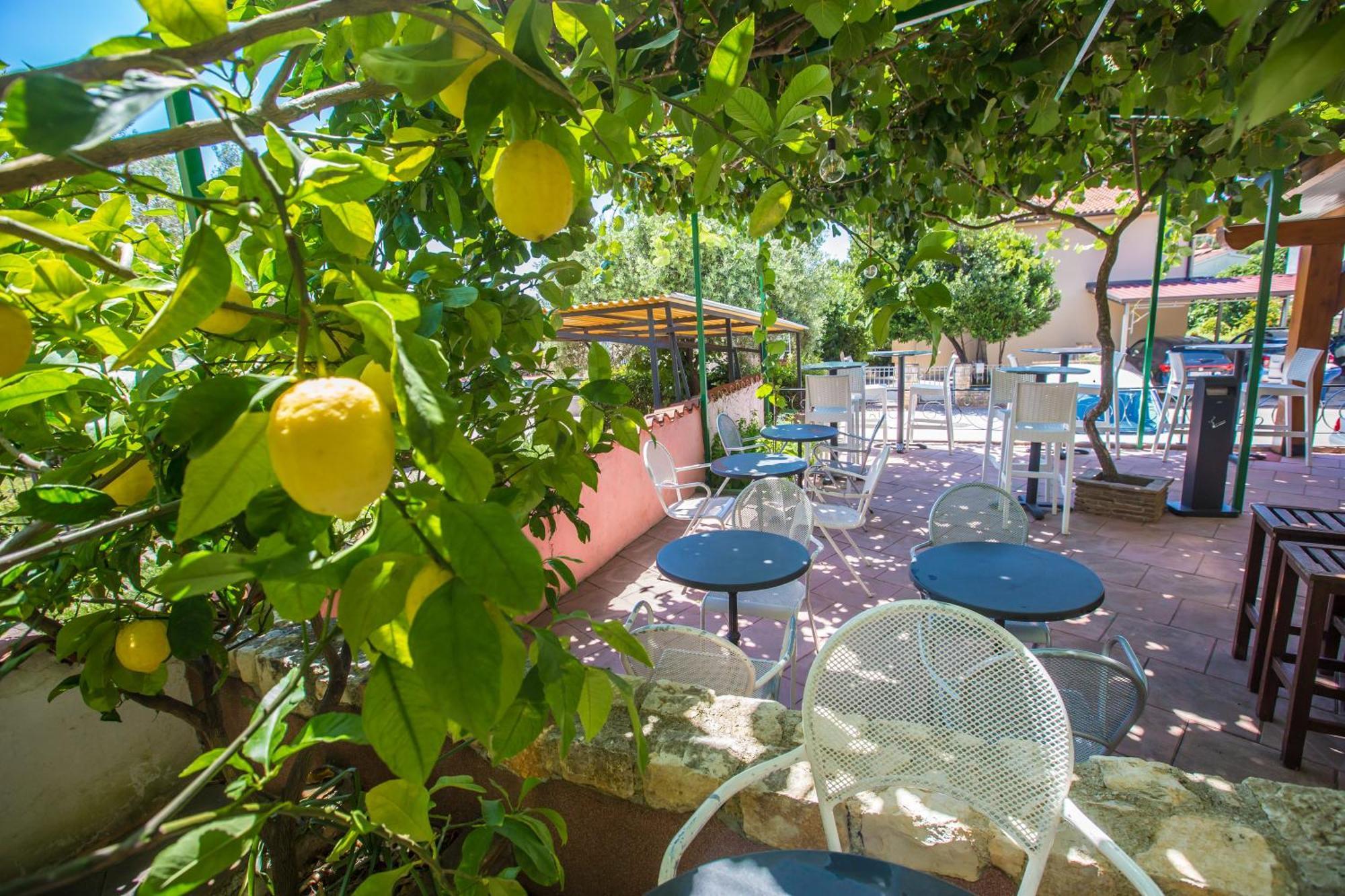 Villa Monsena روفينج المظهر الخارجي الصورة